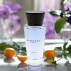 Burberry Touch EDT  For Men