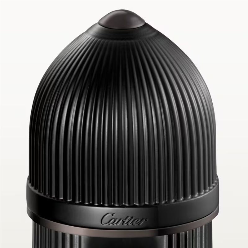 Cartier Pasha de Cartier Noir Absolu Parfum For Men