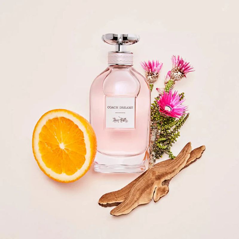Coach Dreams EDP For Women