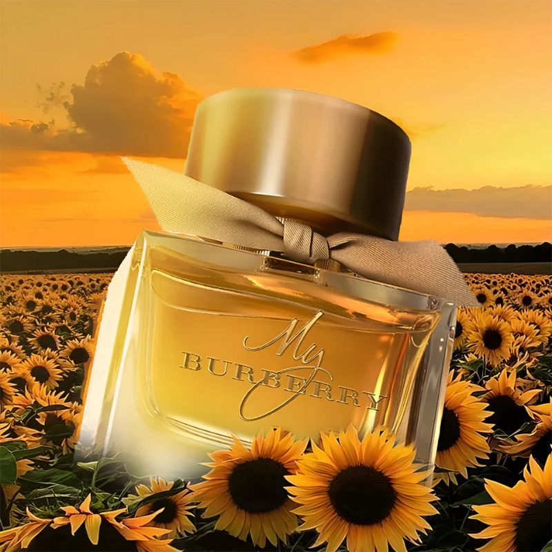 My Burberry EDP For Women