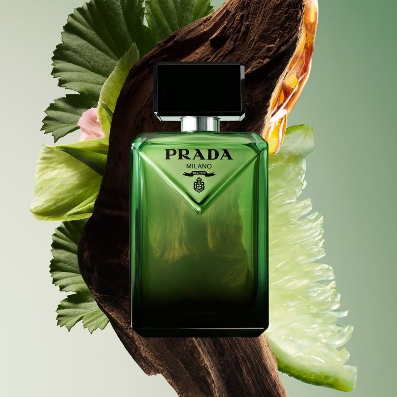 Prada Paradigme EDP For Men