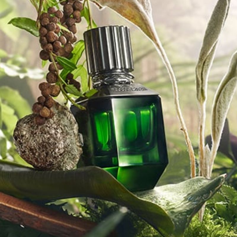 Roberto Cavalli Paradise Found EDT For Men