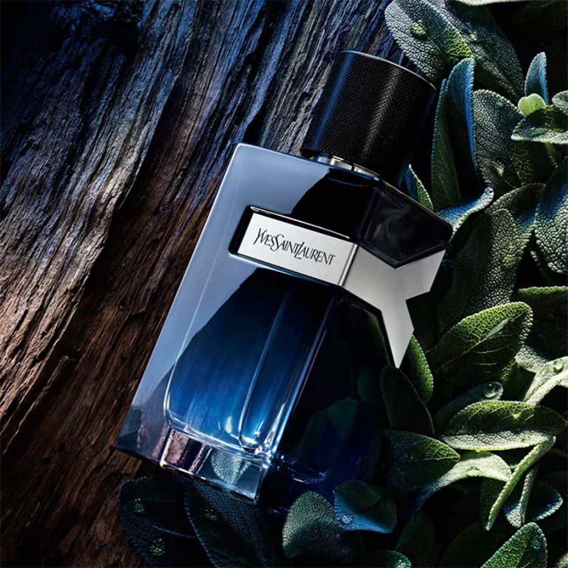 YSL Y EDP for Men