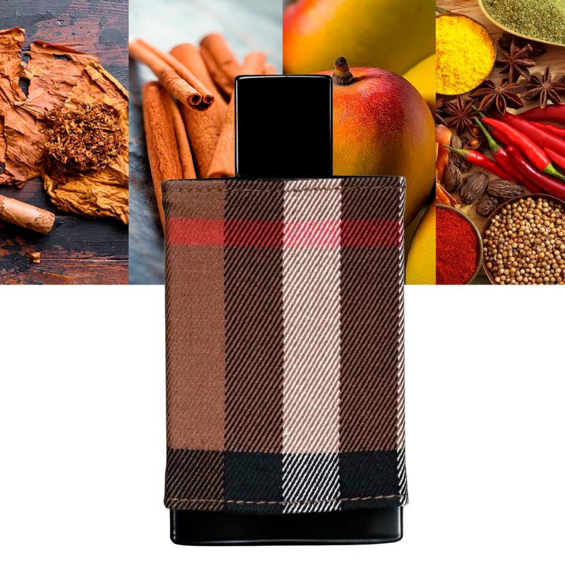 Burberry London EDT For Men