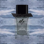 Mr. Burberry EDT For Men